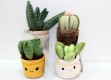 Cactus Peluche Garden x 4